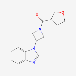molecular formula C16H19N3O2 B2746167 [3-(2-Methylbenzimidazol-1-yl)azetidin-1-yl]-(oxolan-3-yl)methanone CAS No. 2380169-97-9