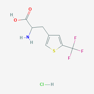 molecular formula C8H9ClF3NO2S B2746182 2-Amino-3-[5-(trifluoromethyl)thiophen-3-yl]propanoic acid;hydrochloride CAS No. 2253638-94-5