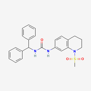 1-(diphenylmethyl)-3-(1-methanesulfonyl-1,2,3,4-tetrahydroquinolin-7-yl)urea