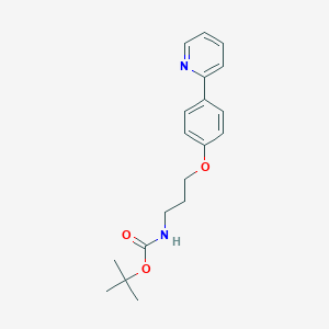 molecular formula C19H24N2O3 B2746587 Tert-butyl N-[3-(4-pyridin-2-ylphenoxy)propyl]carbamate CAS No. 2380185-67-9