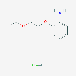 molecular formula C10H16ClNO2 B2746599 2-(2-Ethoxyethoxy)aniline hydrochloride CAS No. 1049789-64-1; 3062-48-4