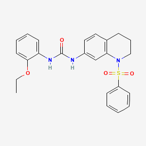 molecular formula C24H25N3O4S B2746722 1-(2-乙氧基苯基)-3-(1-(苯基磺酰)-1,2,3,4-四氢喹啉-7-基)脲 CAS No. 1203083-62-8