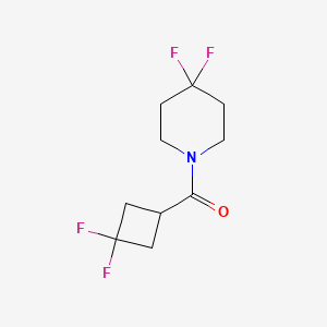 molecular formula C10H13F4NO B2747057 (3,3-二氟环丁基)-(4,4-二氟哌嗪-1-基)甲酮 CAS No. 2326184-08-9