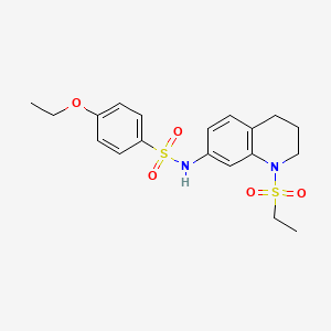 molecular formula C19H24N2O5S2 B2748027 4-ethoxy-N-(1-(ethylsulfonyl)-1,2,3,4-tetrahydroquinolin-7-yl)benzenesulfonamide CAS No. 946327-36-2