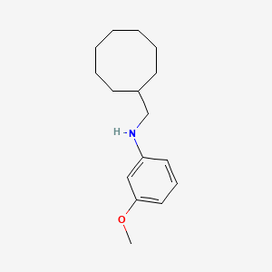 molecular formula C16H25NO B2748227 N-(cyclooctylmethyl)-3-methoxyaniline CAS No. 1397223-79-8