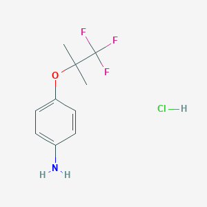 molecular formula C10H13ClF3NO B2748696 4-(1,1,1-三氟-2-甲基丙基氧基)苯胺；盐酸 CAS No. 2470435-69-7