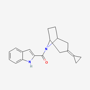 molecular formula C19H20N2O B2749508 2-{3-cyclopropylidene-8-azabicyclo[3.2.1]octane-8-carbonyl}-1H-indole CAS No. 2176202-04-1