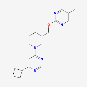 molecular formula C19H25N5O B2749721 2-[[1-(6-Cyclobutylpyrimidin-4-yl)piperidin-3-yl]methoxy]-5-methylpyrimidine CAS No. 2379983-68-1