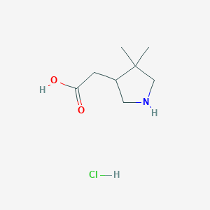 molecular formula C8H16ClNO2 B2750892 2-(4,4-Dimethylpyrrolidin-3-yl)acetic acid;hydrochloride CAS No. 2361644-28-0