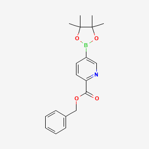 molecular formula C19H22BNO4 B2750997 Benzyl 5-(tetramethyl-1,3,2-dioxaborolan-2-yl)pyridine-2-carboxylate CAS No. 2377608-16-5