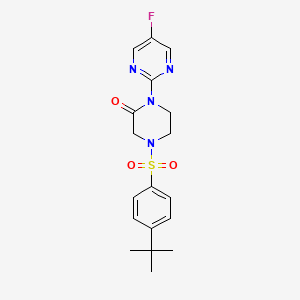 4-(4-Tert-butylbenzenesulfonyl)-1-(5-fluoropyrimidin-2-yl)piperazin-2-one