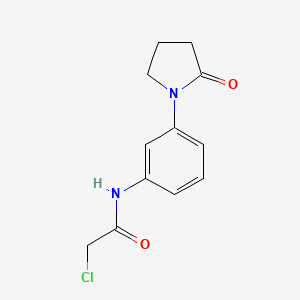 2-chloro-N-[3-(2-oxopyrrolidin-1-yl)phenyl]acetamide