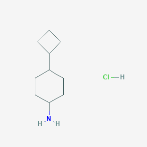 molecular formula C10H20ClN B2751819 4-Cyclobutylcyclohexan-1-amine hydrochloride CAS No. 1989672-08-3