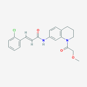 molecular formula C21H21ClN2O3 B2751857 (E)-3-(2-氯苯基)-N-(1-(2-甲氧基乙酰)-1,2,3,4-四氢喹啉-7-基)丙烯酰胺 CAS No. 1251711-26-8