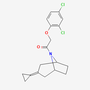 molecular formula C18H19Cl2NO2 B2752096 1-{3-Cyclopropylidene-8-azabicyclo[3.2.1]octan-8-yl}-2-(2,4-dichlorophenoxy)ethan-1-one CAS No. 2176270-39-4
