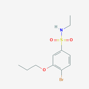 molecular formula C11H16BrNO3S B275215 4-bromo-N-ethyl-3-propoxybenzene-1-sulfonamide 
