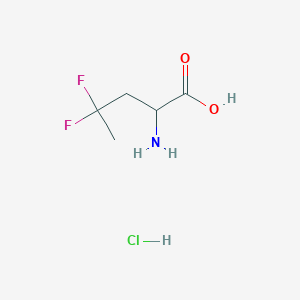 molecular formula C5H10ClF2NO2 B2752207 2-氨基-4,4-二氟戊酸;盐酸 CAS No. 2241127-81-9