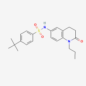 molecular formula C22H28N2O3S B2752809 4-(tert-butyl)-N-(2-oxo-1-propyl-1,2,3,4-tetrahydroquinolin-6-yl)benzenesulfonamide CAS No. 941906-23-6