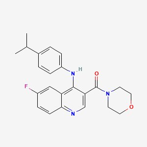 molecular formula C23H24FN3O2 B2752983 (6-Fluoro-4-((4-isopropylphenyl)amino)quinolin-3-yl)(morpholino)methanone CAS No. 1358266-79-1