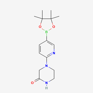 6-(3-Oxopiperazin-1-yl)pyridine-3-boronic acid pinacol ester