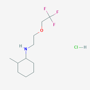 molecular formula C11H21ClF3NO B2756411 2-Methyl-N-[2-(2,2,2-trifluoroethoxy)ethyl]cyclohexan-1-amine;hydrochloride CAS No. 2095410-43-6