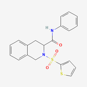 N-phenyl-2-(thiophen-2-ylsulfonyl)-1,2,3,4-tetrahydroisoquinoline-3-carboxamide