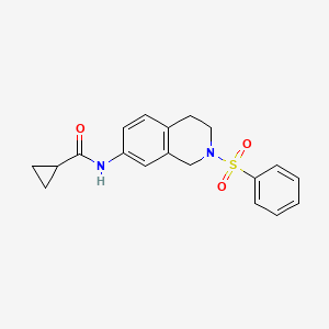 N-(2-(phenylsulfonyl)-1,2,3,4-tetrahydroisoquinolin-7-yl)cyclopropanecarboxamide