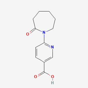 6-(2-Oxoazepan-1-yl)pyridine-3-carboxylic acid