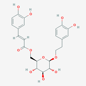 molecular formula C23H26O11 B027583 Calceolarioside B CAS No. 105471-98-5