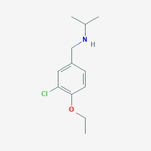 molecular formula C12H18ClNO B275873 N-(3-chloro-4-ethoxybenzyl)propan-2-amine 