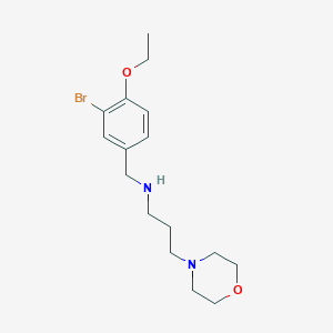 molecular formula C16H25BrN2O2 B275908 N-(3-bromo-4-ethoxybenzyl)-N-[3-(4-morpholinyl)propyl]amine 