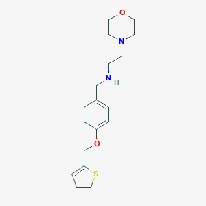 molecular formula C18H24N2O2S B275973 2-(morpholin-4-yl)-N-[4-(thiophen-2-ylmethoxy)benzyl]ethanamine 