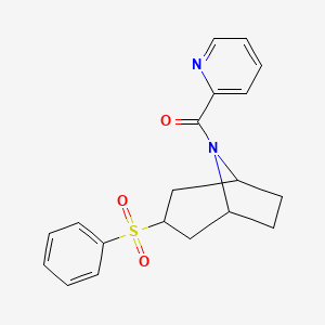 molecular formula C19H20N2O3S B2762266 ((1R,5S)-3-(phenylsulfonyl)-8-azabicyclo[3.2.1]octan-8-yl)(pyridin-2-yl)methanone CAS No. 1448131-18-7