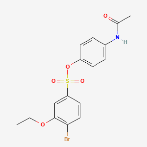 molecular formula C16H16BrNO5S B2763288 4-乙酰胺基苯基-4-溴-3-乙氧基苯基-1-磺酸酯 CAS No. 2305494-34-0