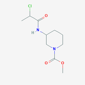 Methyl 3-(2-chloropropanoylamino)piperidine-1-carboxylate
