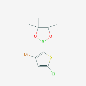 molecular formula C10H13BBrClO2S B2764263 3-溴-5-氯硫代噻吩-2-硼酸脂肪醇酯 CAS No. 2377606-72-7