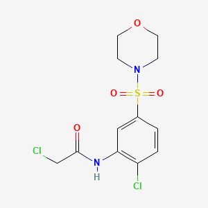 2-Chloro-N-[2-chloro-5-(morpholine-4-sulfonyl)-phenyl]-acetamide