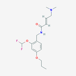 (E)-N-[[2-(Difluoromethoxy)-4-propoxyphenyl]methyl]-4-(dimethylamino)but-2-enamide