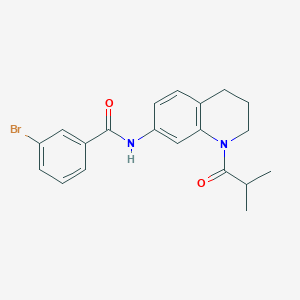 molecular formula C20H21BrN2O2 B2765748 3-bromo-N-(1-isobutyryl-1,2,3,4-tetrahydroquinolin-7-yl)benzamide CAS No. 1005294-46-1