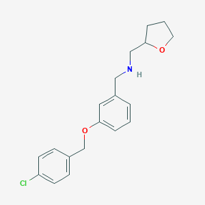 N-{3-[(4-chlorobenzyl)oxy]benzyl}-N-(tetrahydro-2-furanylmethyl)amine