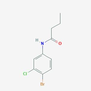 molecular formula C10H11BrClNO B276729 N-(4-bromo-3-chlorophenyl)butanamide 