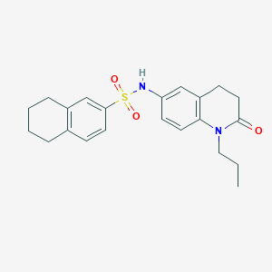 molecular formula C22H26N2O3S B2767921 N-(2-oxo-1-propyl-1,2,3,4-tetrahydroquinolin-6-yl)-5,6,7,8-tetrahydronaphthalene-2-sulfonamide CAS No. 951505-97-8