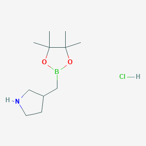 3-((4,4,5,5-Tetramethyl-1,3,2-dioxaborolan-2-yl)methyl)pyrrolidine hydrochloride