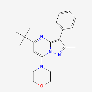 4-(5-(Tert-butyl)-2-methyl-3-phenylpyrazolo[1,5-a]pyrimidin-7-yl)morpholine