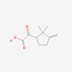 molecular formula C10H14O3 B2769976 (2,2-Dimethyl-3-methylenecyclopentyl)oxoacetic acid CAS No. 1330755-17-3