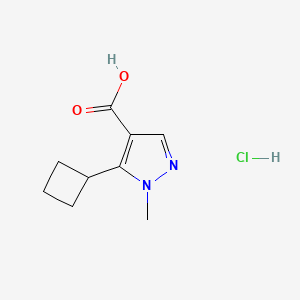 molecular formula C9H13ClN2O2 B2771275 5-环丁基-1-甲基-1H-吡唑-4-羧酸盐酸盐 CAS No. 1909326-05-1