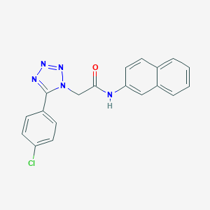 molecular formula C19H14ClN5O B277171 2-[5-(4-chlorophenyl)-1H-tetraazol-1-yl]-N-(2-naphthyl)acetamide 