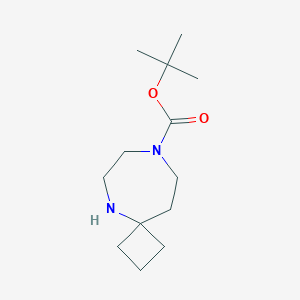 molecular formula C13H24N2O2 B2771722 Tert-butyl 5,8-diazaspiro[3.6]decane-8-carboxylate CAS No. 2091455-57-9