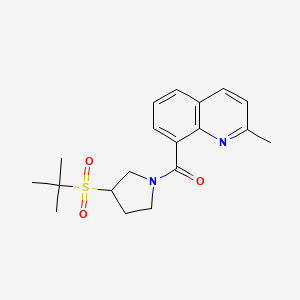 molecular formula C19H24N2O3S B2771878 (3-(Tert-butylsulfonyl)pyrrolidin-1-yl)(2-methylquinolin-8-yl)methanone CAS No. 1797612-28-2