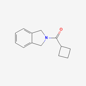 molecular formula C13H15NO B2772490 Cyclobutyl(isoindolin-2-yl)methanone CAS No. 2034606-60-3